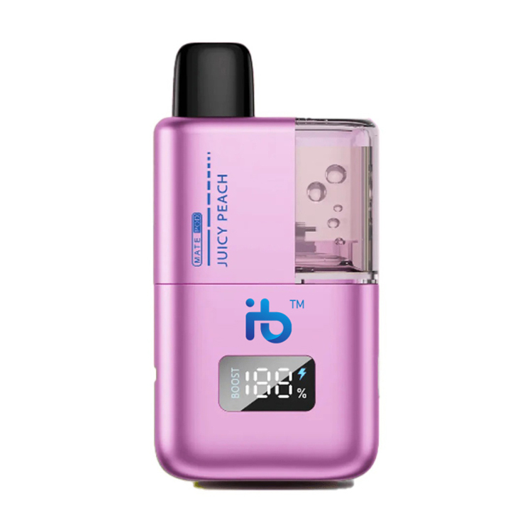 Exploring the Pros and Cons of Using Electronic Cigarettes for Quitting Smoking Techniques
